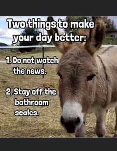 7a9bc434834ca14fbaa0a6e1991c2617.jpg