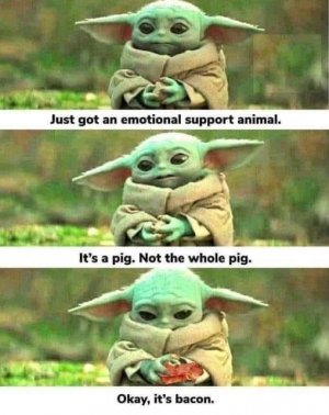 IMG_2636.jpeg