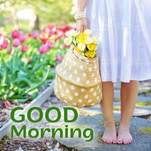 Beautiful-Good-Morning-flowers-for-your-beautiful-Girl.jpg