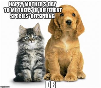 Mom Day 3.jpg
