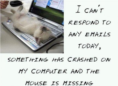 computercrash.jpg
