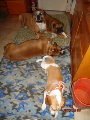 DSC00803.JPG