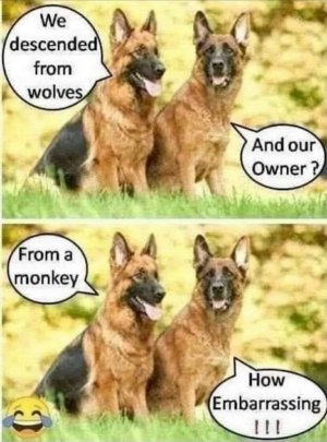 FB_IMG_1683516482813.jpg