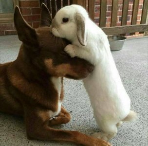 hugs.jpg