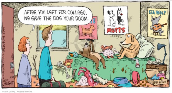 college.jpg