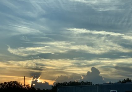 IMG_1671.jpeg