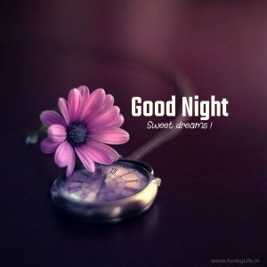 good-night-image-funkylife-291-2.jpg
