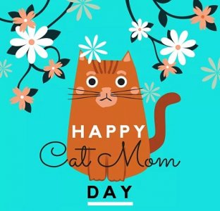 cat mom day.jpg