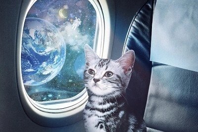 ezgif.com-gif-maker (13).jpg