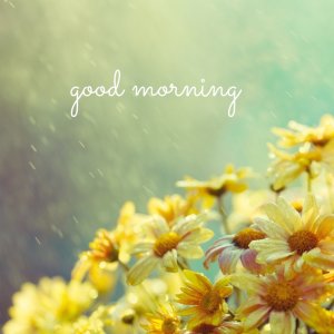 01-good-morning-design-template-e07af7816d1335d55af8ba3a1846ca28_screen.jpg