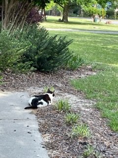 IMG_0432.jpeg