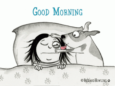 Hello-3.gif