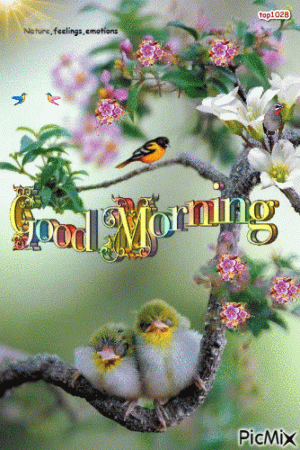 82EBF7A5-E472-42CF-B49C-2412922FD12C.gif