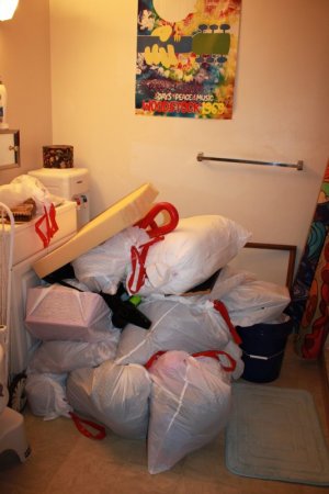 bags.JPG