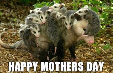 Mom Day 1.jpg