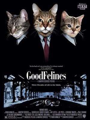 a46b8f7b68397133f59a9b269d1efc05--famous-movie-posters-cat-movie.jpg