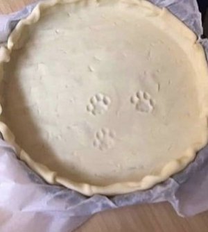 cat prints 4 fb.jpg