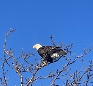 IMG_0065.jpeg