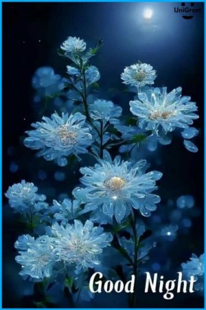 Goodnight-images-good-night-photos-download-681x1024.jpg