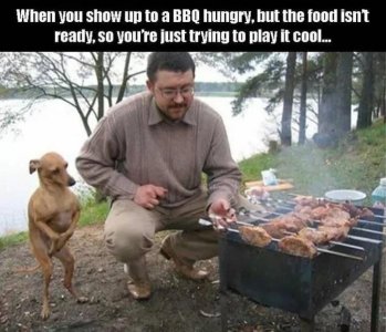 IMG_2671.jpeg
