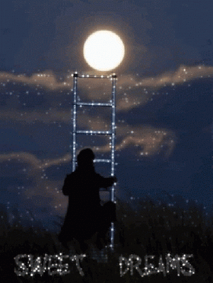 7B3E596A-959B-4779-88F1-6056AAA87D63.gif