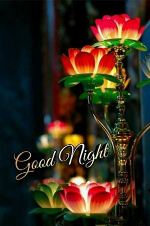 good-night-images-new.-love-good-night-images..jpg