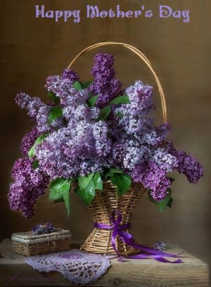 lilacs.jpg