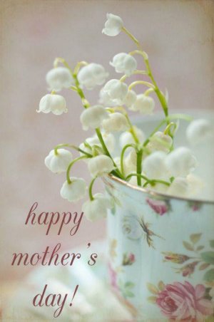 lily of the valley.jpg