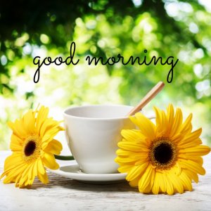 80-good-morning-design-template-8d459bf343a7db8f061dac054578dfa0_screen (1).jpg