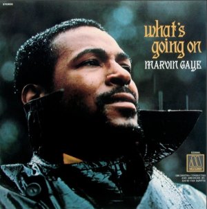 Screen Shot 2023-05-15 at 12.04.19 AM.jpeg