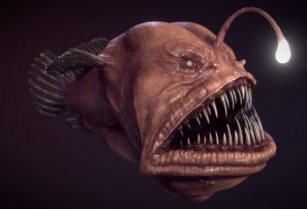 angler fish.jpg