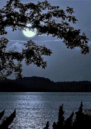 tumblr_ca86e2f2d9b36eceee33c3c721f1a61b_0c936914_1280.jpg