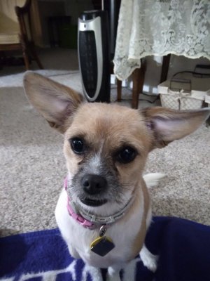 20201025_183142.jpg