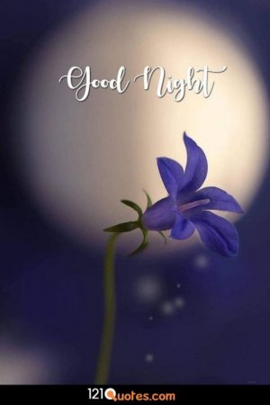 good-night-whatsapp-image.jpg