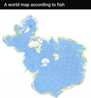 344041876_924249238904885_3723049771599112663_n.jpg