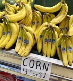 IMG_2777.jpeg