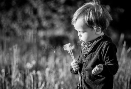 blowing in the wind.jpg