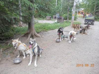 DSCN9745.JPG
