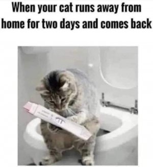 FB_IMG_1670111907579.jpg