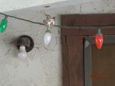 DSC00864.JPG