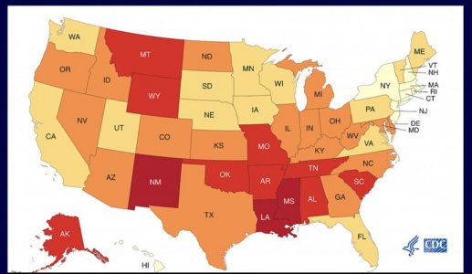 US gun mortality.jpg