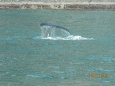 DSCN9920.JPG