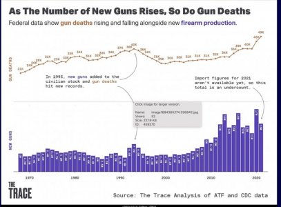 Gun numbers vs deaths.jpg