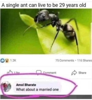 IMG_2813.jpeg