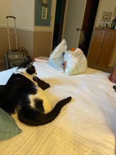 IMG_0452.jpeg