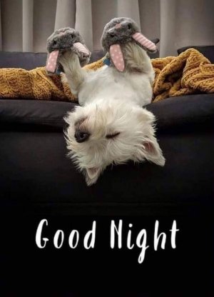 944cd7819d202540bd59cf91bbbc5fb9[1].jpg