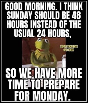9366AF19-BEDF-45EE-89ED-1D62A96E1D16.jpeg