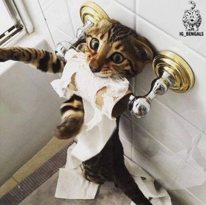 caught.jpg