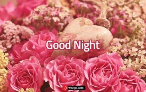 goodnight4.jpg