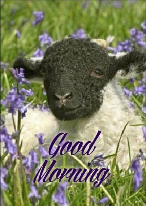 70b3fe063797a9f1867bc8b14097ea7b[1].jpg